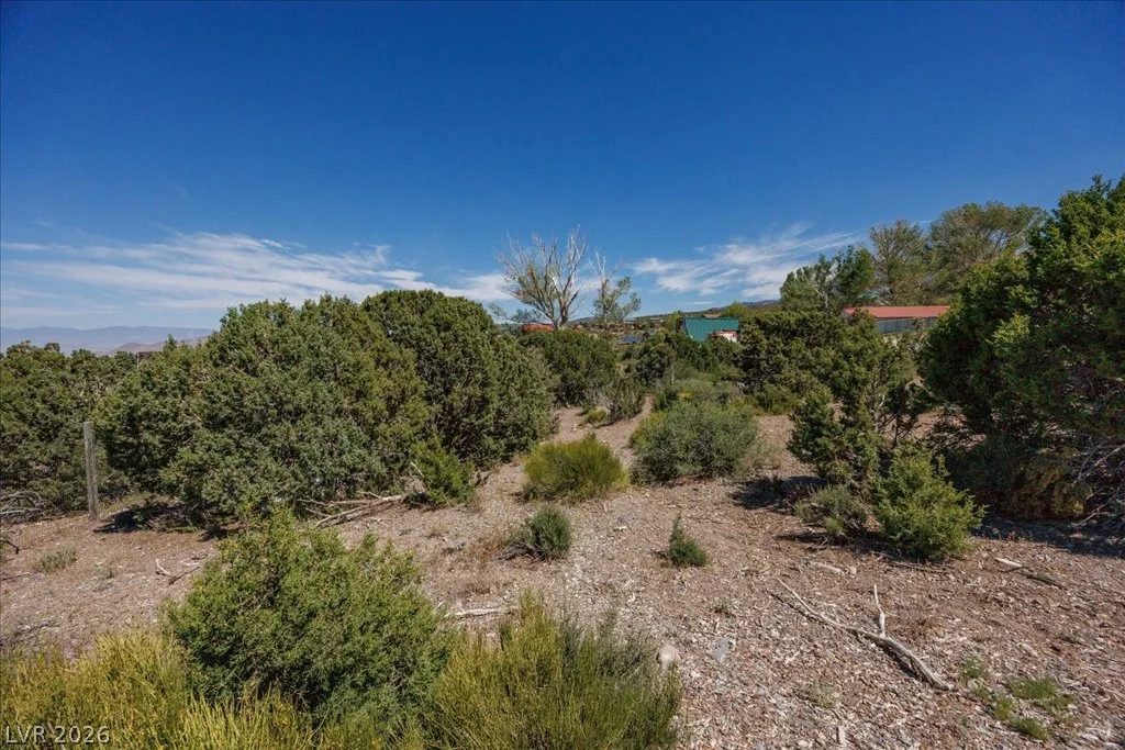 Sir Turner Drive APN#095-01-711-034, Cold Creek, NV 89124