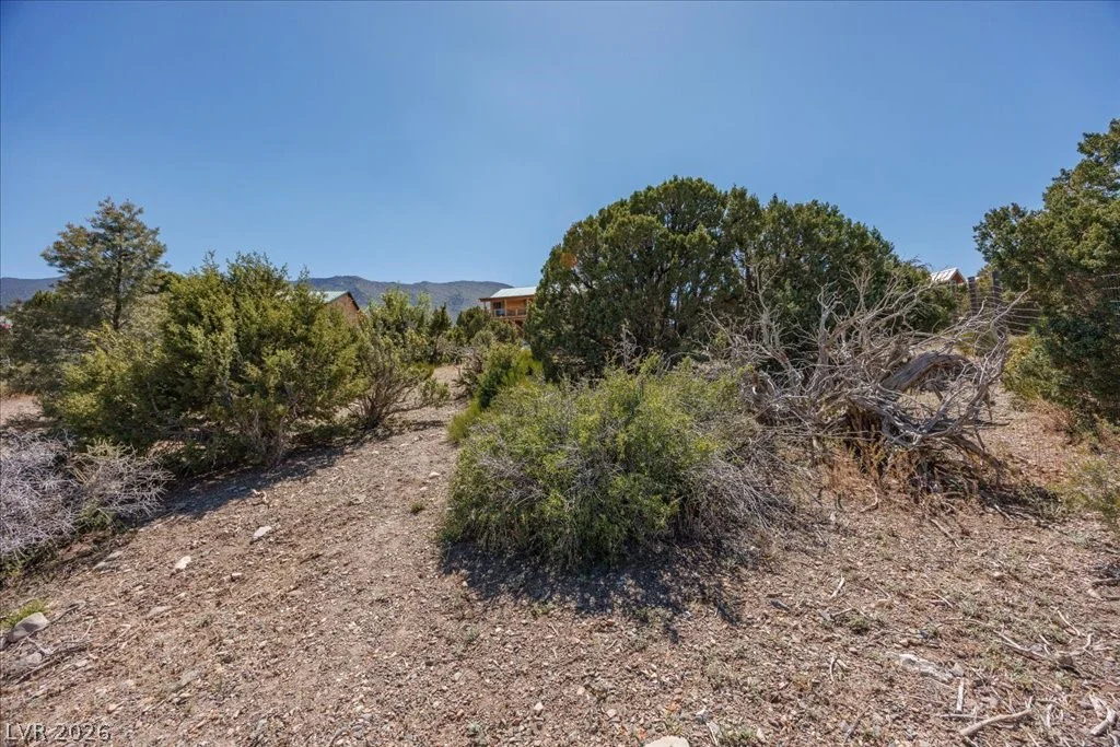 Sir Turner Drive APN#095-01-711-034, Cold Creek, NV 89124