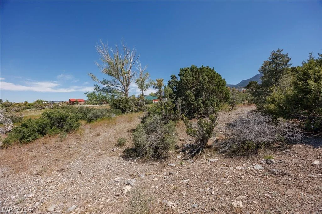 Sir Turner Drive APN#095-01-711-034, Cold Creek, NV 89124
