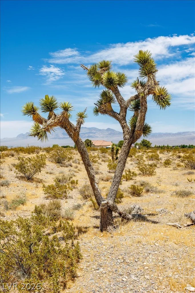 Racel APN 126-08-801-001, Las Vegas, NV 89166