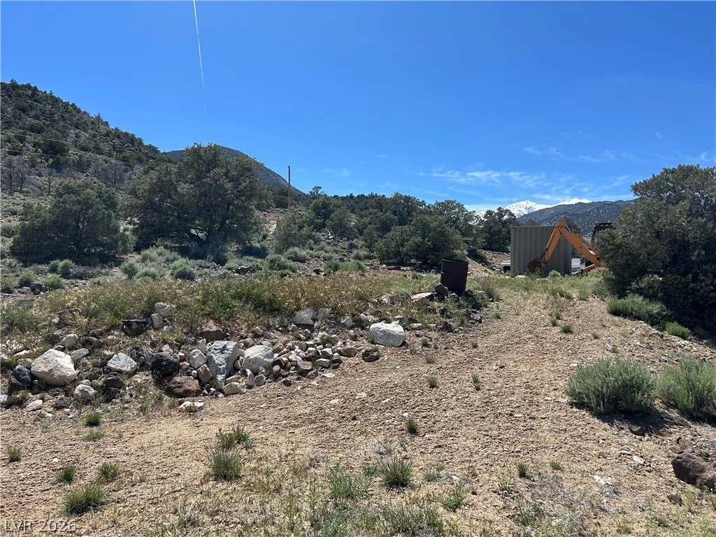 1480 WILD HORSE, Dyer, NV 89010