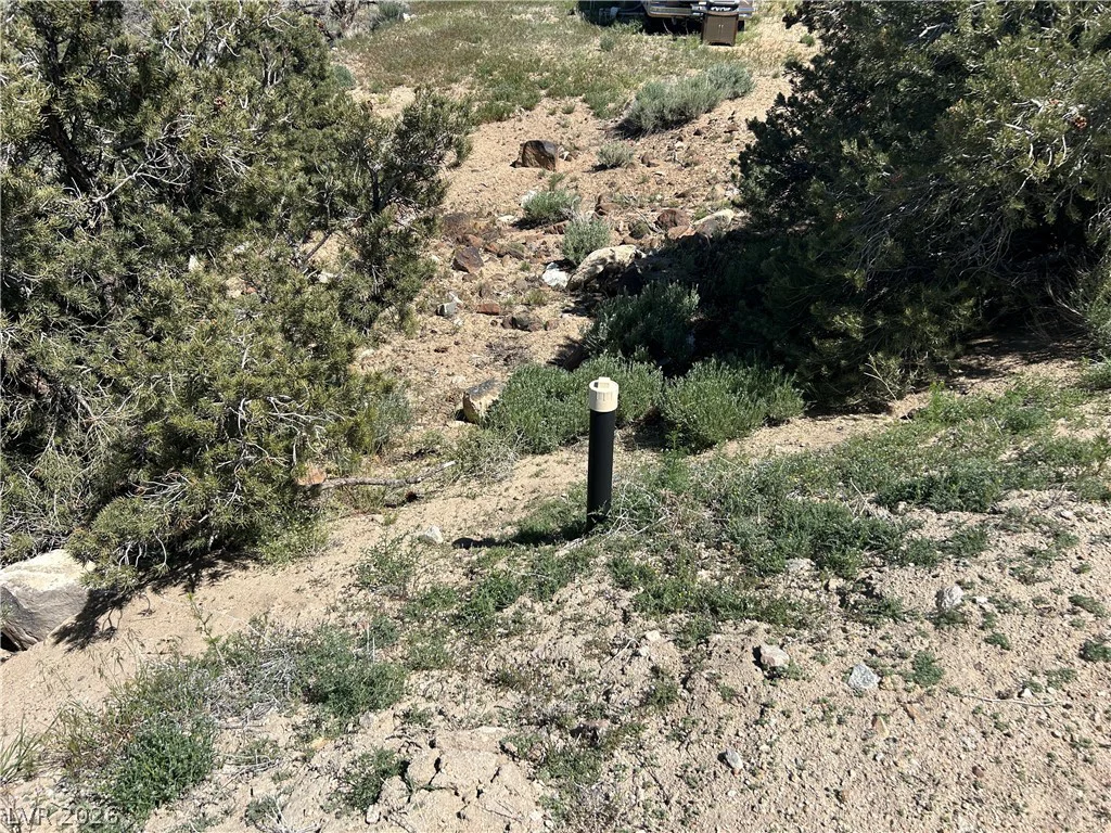 1480 WILD HORSE, Dyer, NV 89010