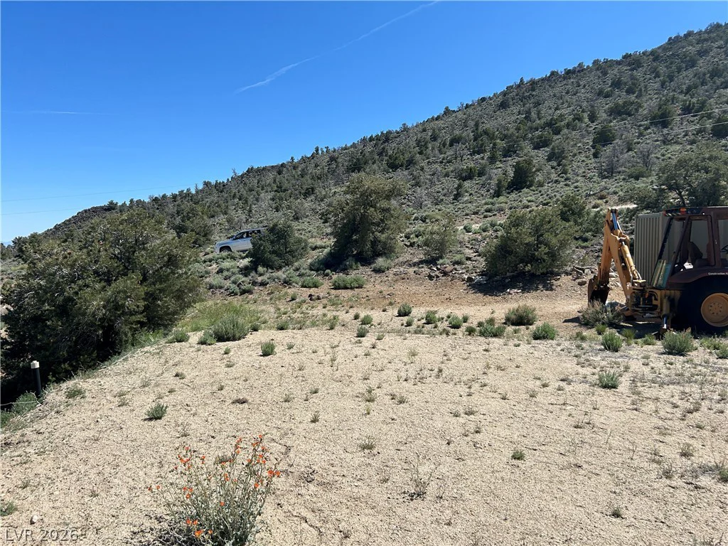 1480 WILD HORSE, Dyer, NV 89010