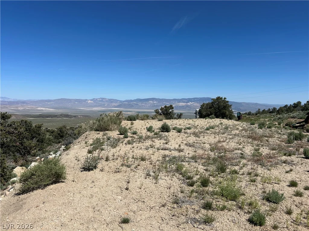 1480 WILD HORSE, Dyer, NV 89010
