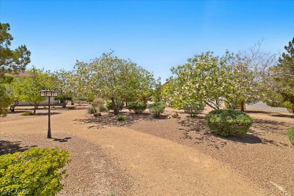 1050 Amarillo, Pahrump, NV 89048