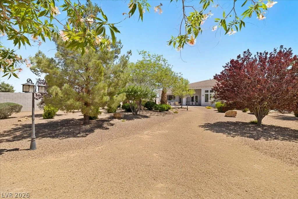 1050 Amarillo, Pahrump, NV 89048