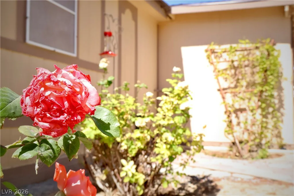 4501 Kellogg, Pahrump, NV 89061