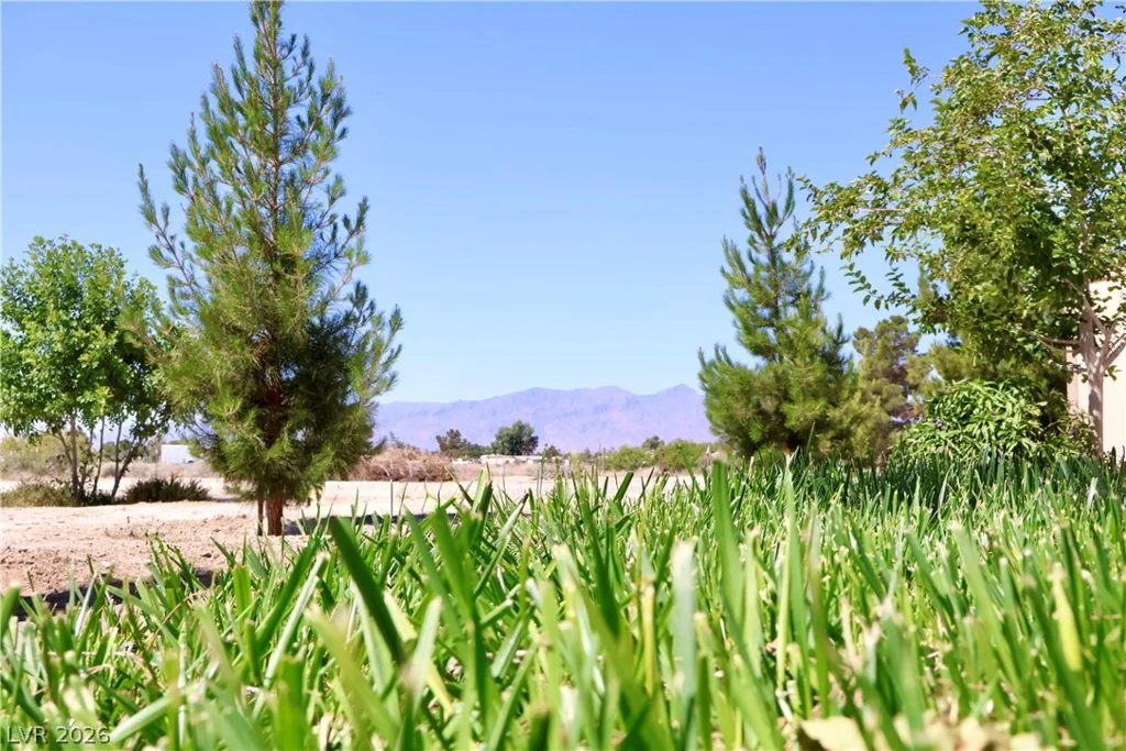 4501 Kellogg, Pahrump, NV 89061