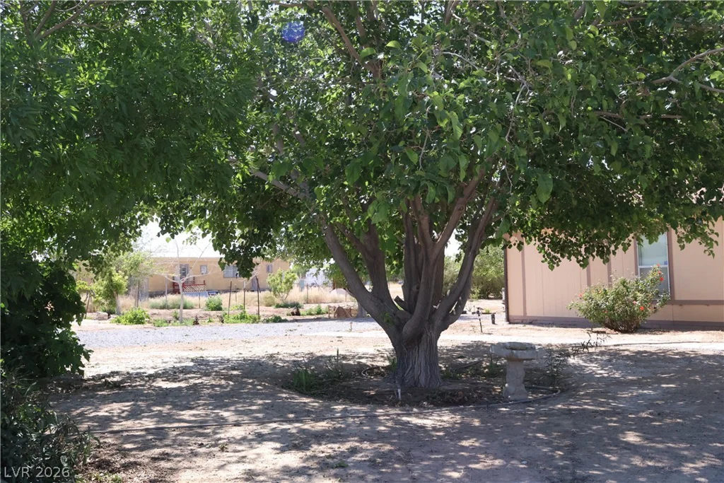 4501 Kellogg, Pahrump, NV 89061