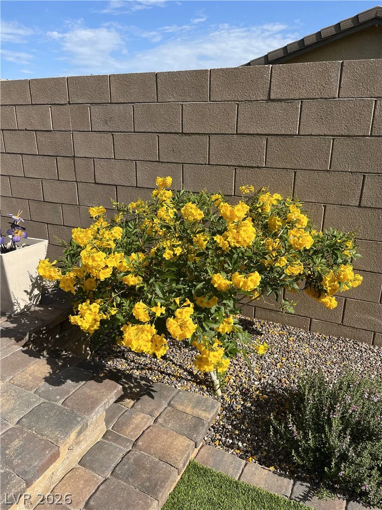 498 Pebble Run, Henderson, NV 89011
