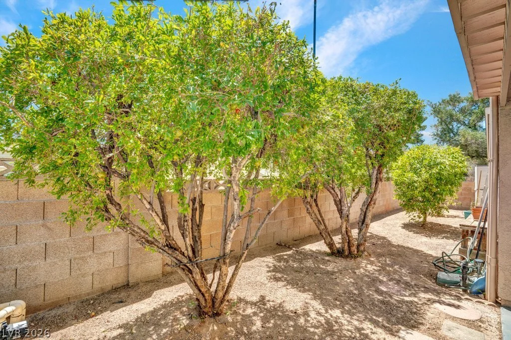 417 Davenport, Las Vegas, NV 89107
