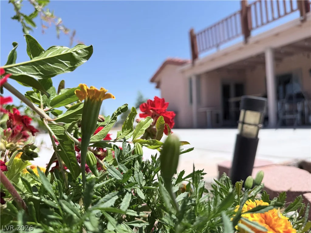 1220 Gamebird, Pahrump, NV 89048