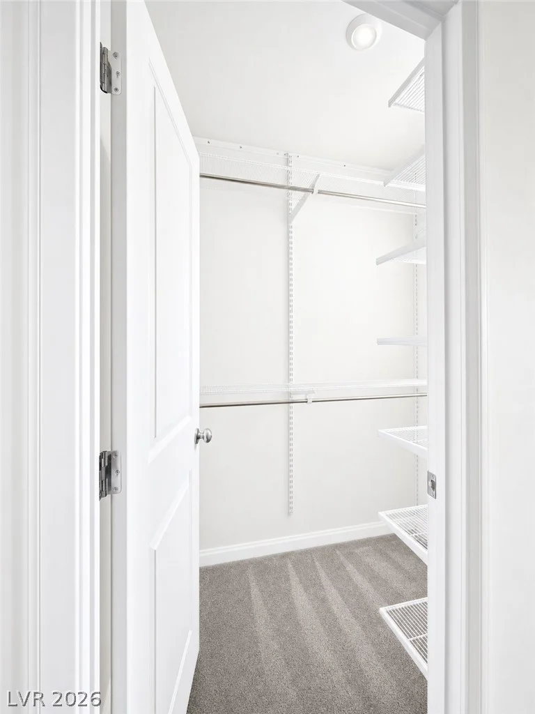 10202 Handline Chute, Las Vegas, NV 89166