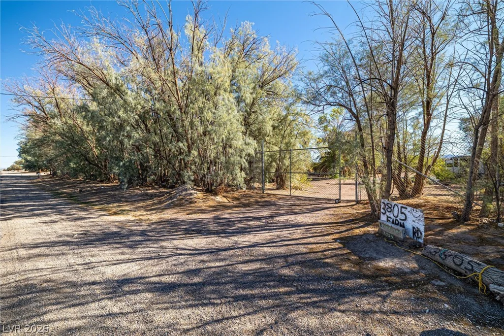 3805 Amargosa Farm, Amargosa Valley, NV 89020