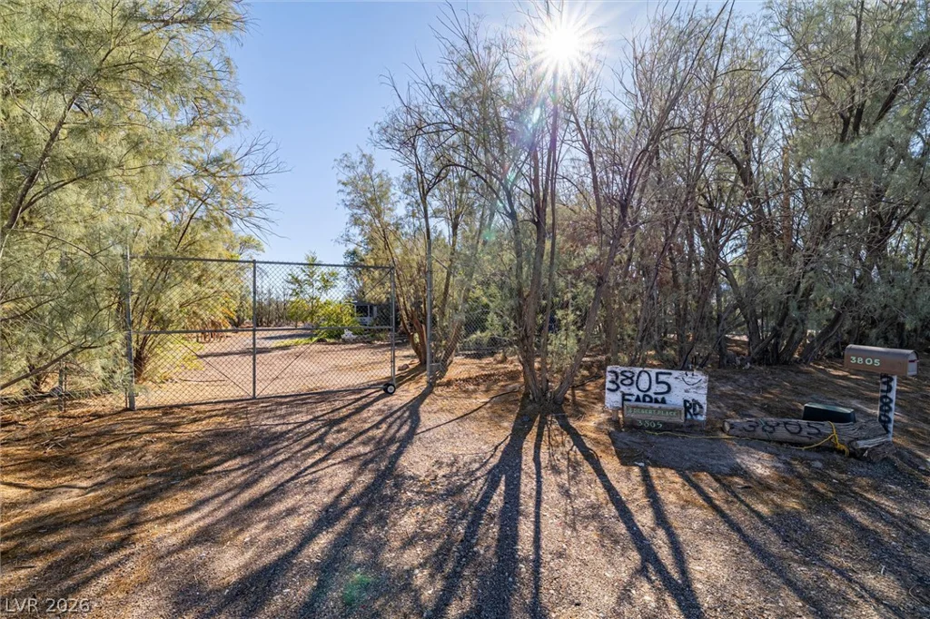 3805 Amargosa Farm, Amargosa Valley, NV 89020