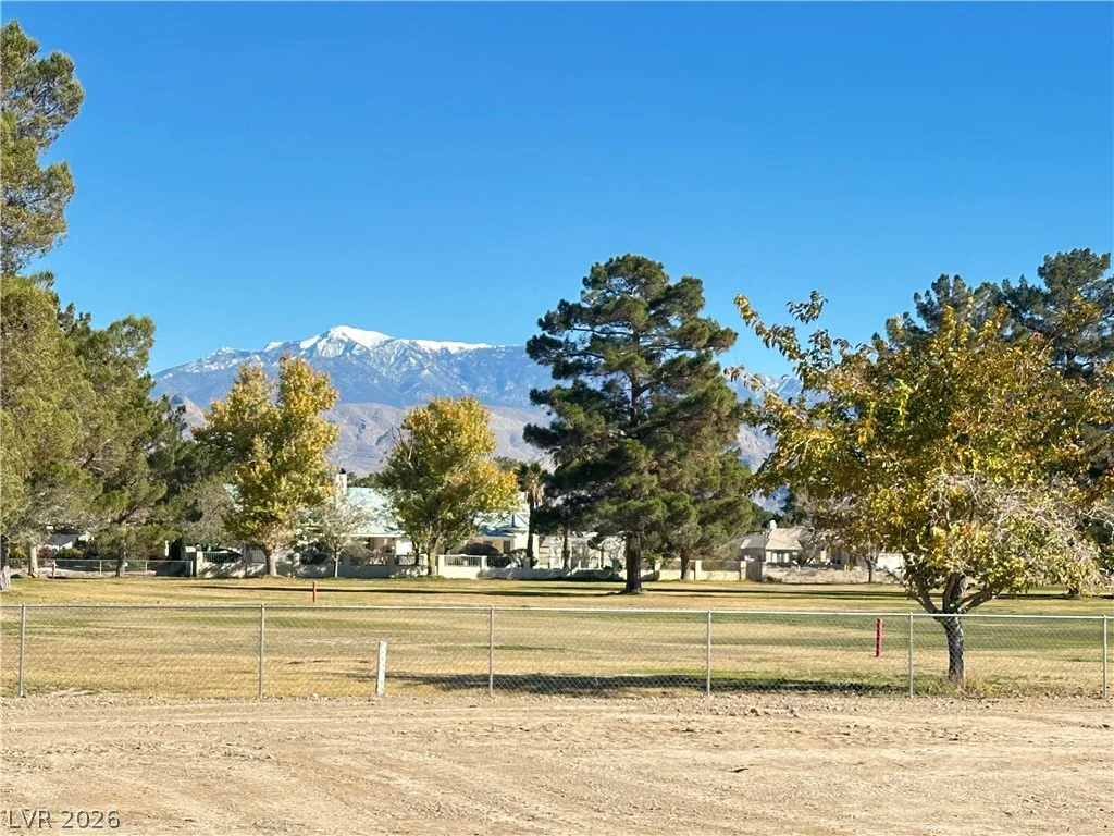 3141 Burning Tree, Pahrump, NV 89061