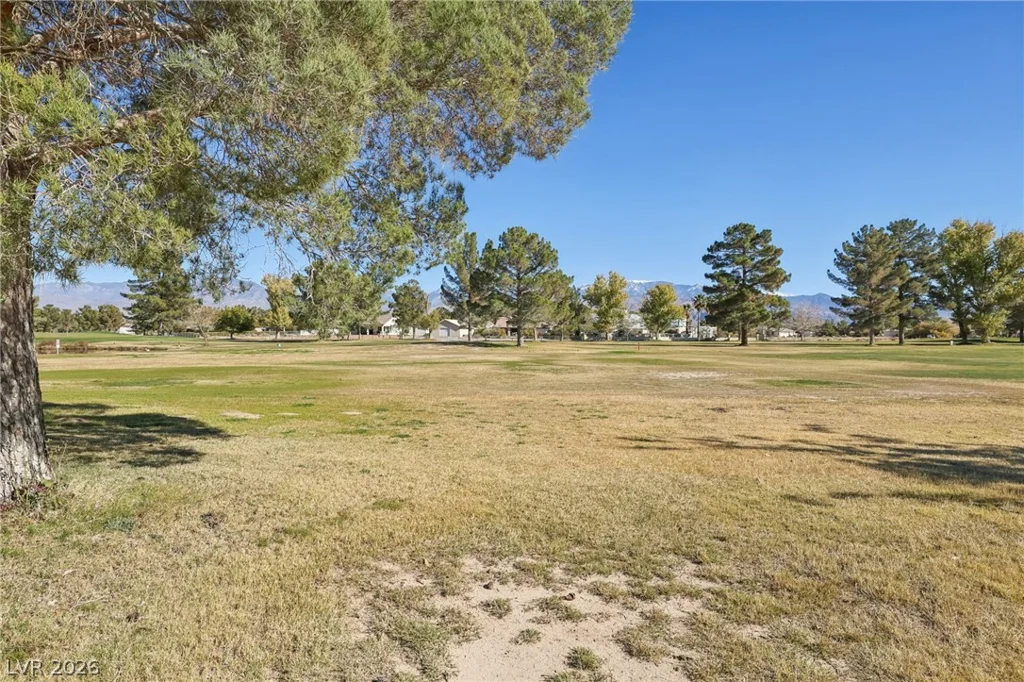 3141 Burning Tree, Pahrump, NV 89061