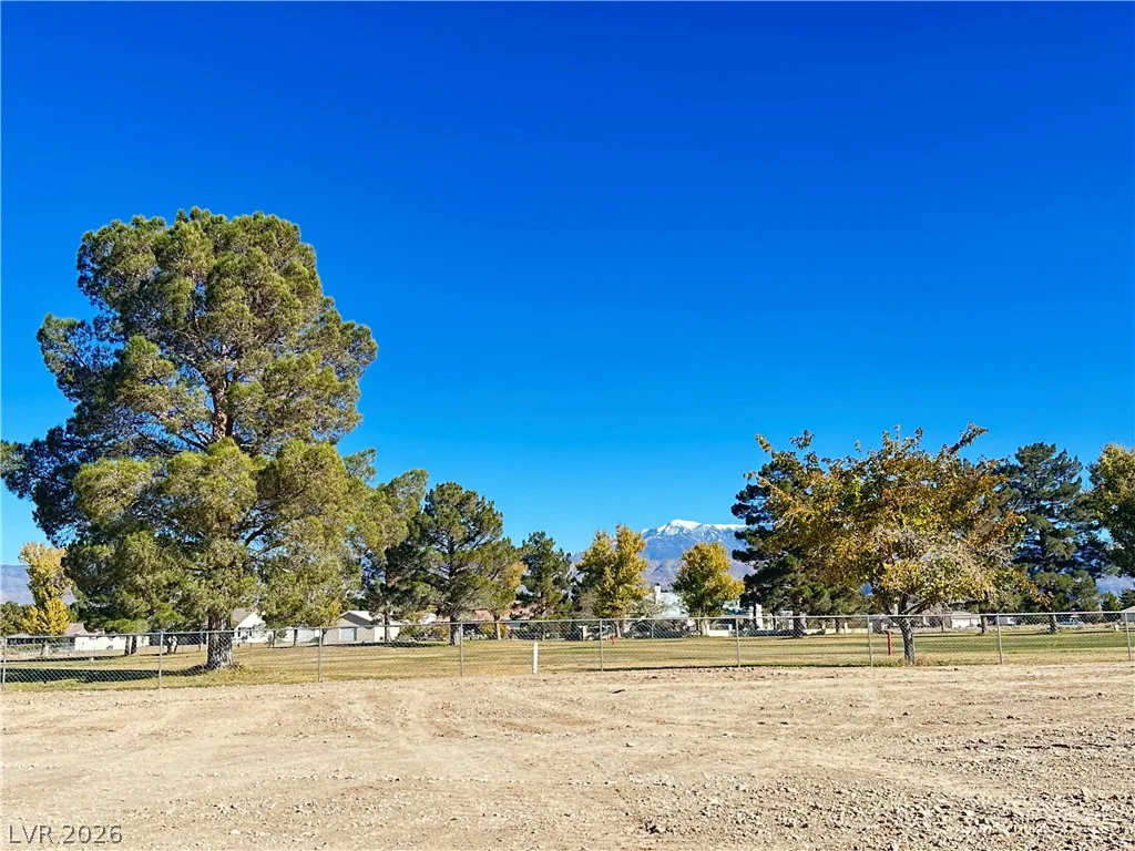3141 Burning Tree, Pahrump, NV 89061