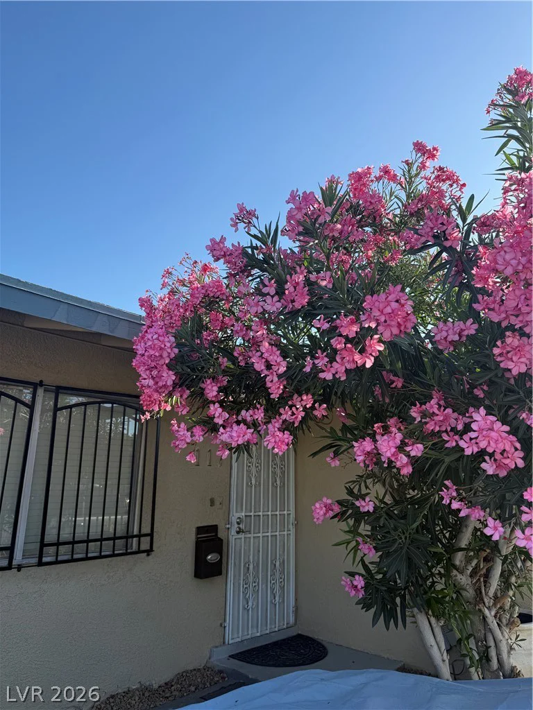 117 Frederick, Las Vegas, NV 89106