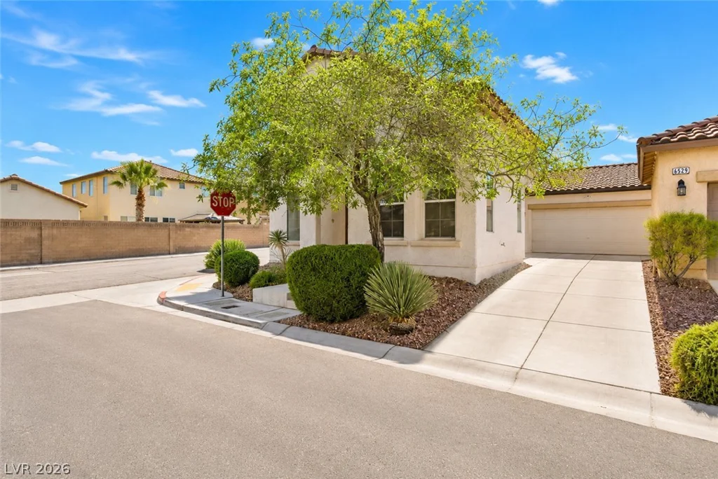 6513 Delicate Petal, Las Vegas, NV 89149