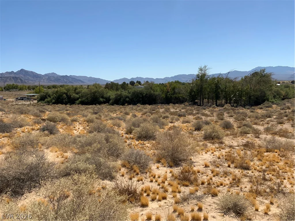 Jade, Sandy Valley, NV 89019