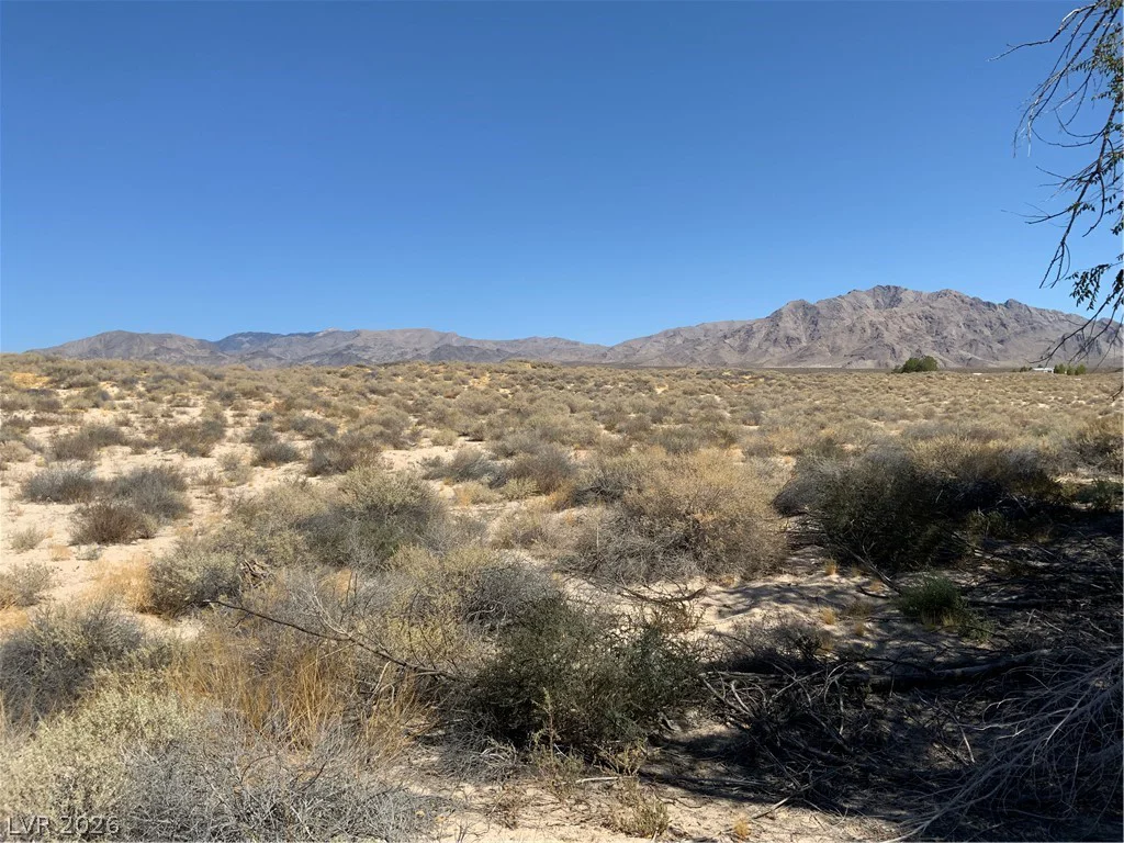 Jade, Sandy Valley, NV 89019