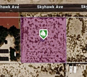 709 Skyhawk, Sandy Valley, NV 89019