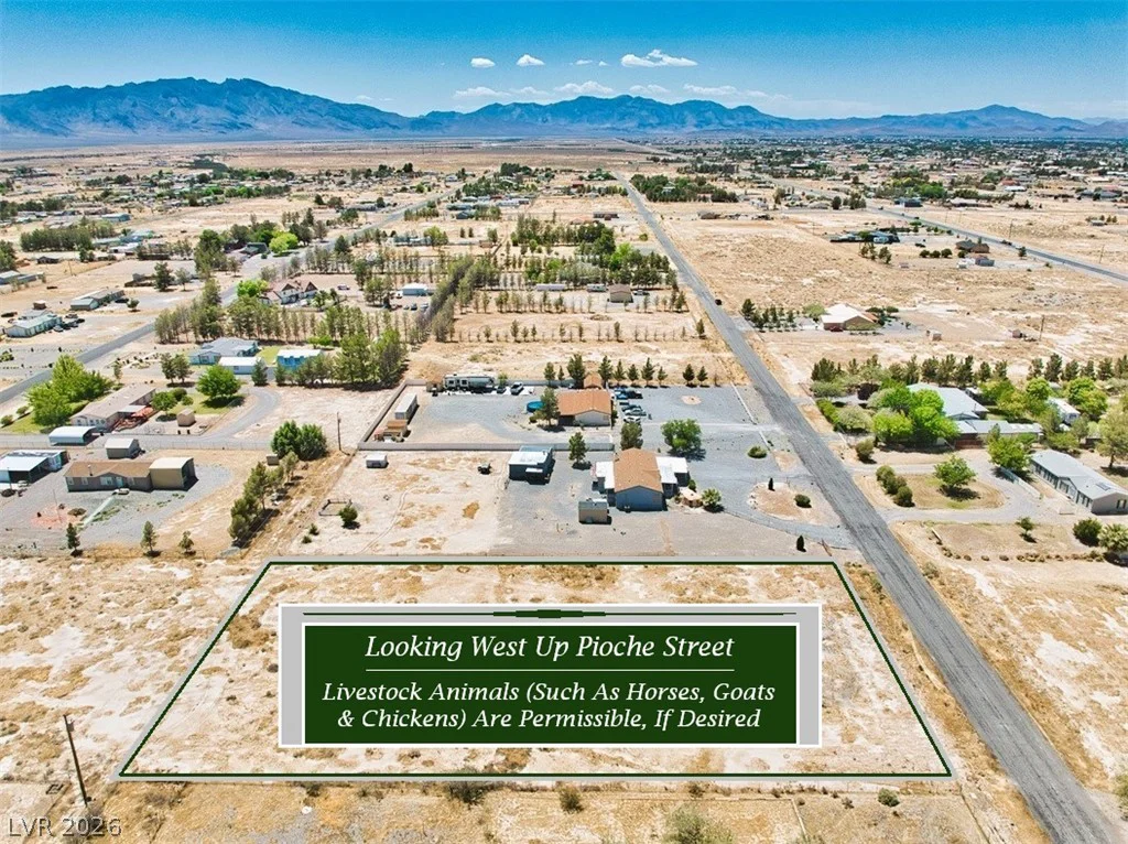 1891 Pioche, Pahrump, NV 89048