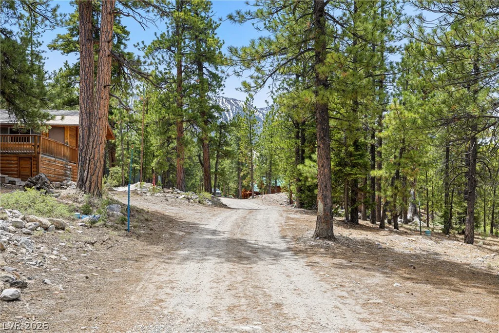 2146 Via Spes Nostra, Mount Charleston, NV 89124