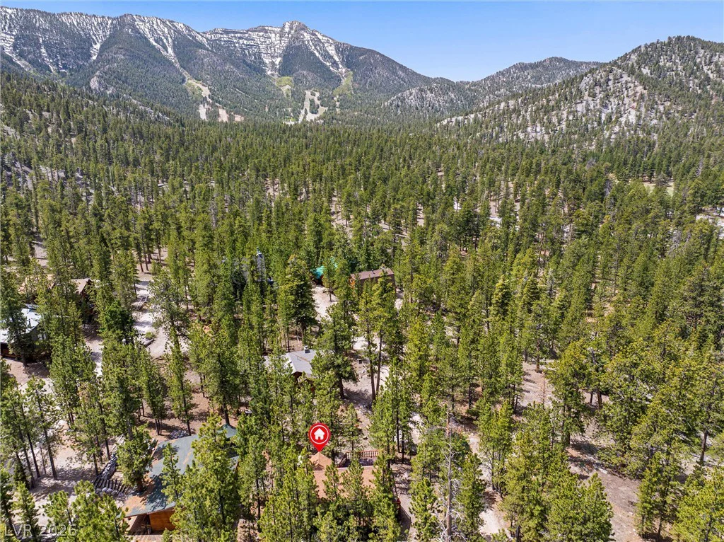 2146 Via Spes Nostra, Mount Charleston, NV 89124
