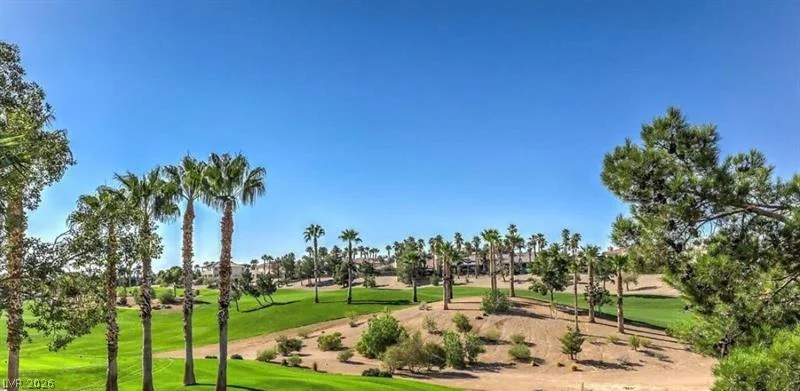 176 BROKEN PUTTER, Las Vegas, NV 89148