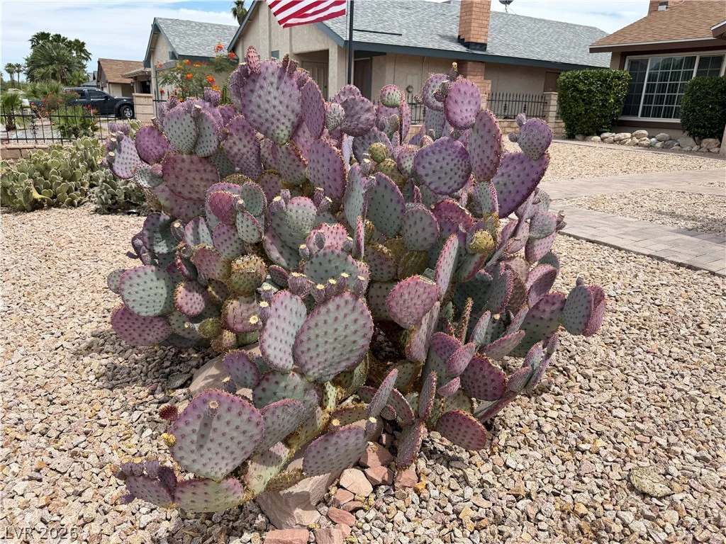 6225 Cedarwood, Las Vegas, NV 89103