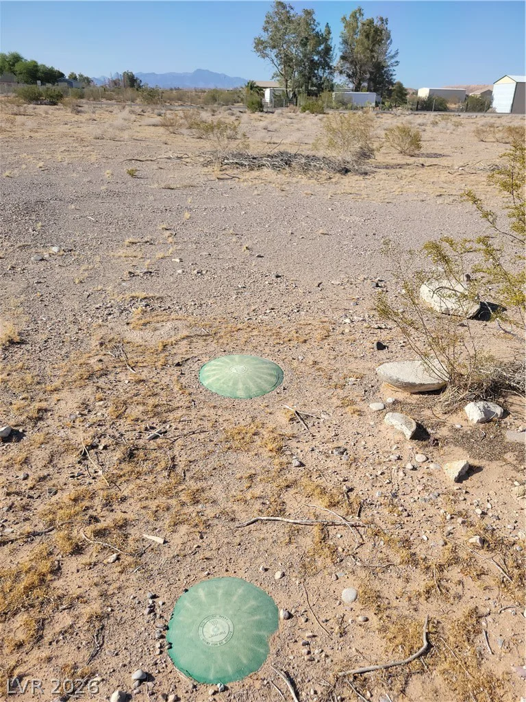 1580 Lou, Overton, NV 89040