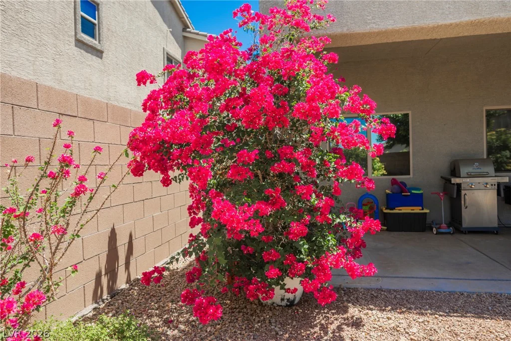 109 Kirkcaldy, Henderson, NV 89012