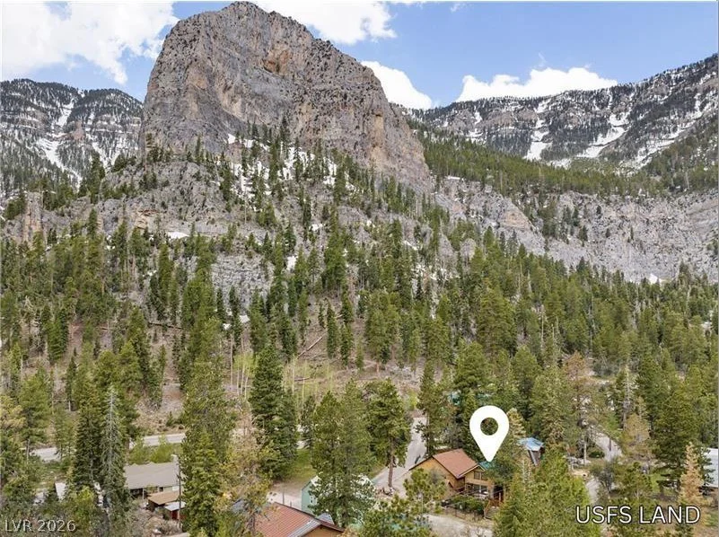 265 Rim Route, Mount Charleston, NV 89124
