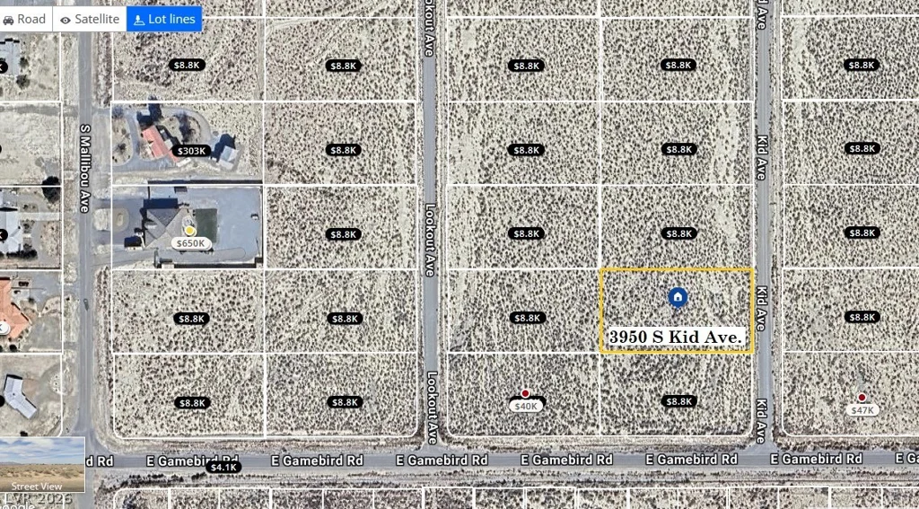 3950 Kid, Pahrump, NV 89048