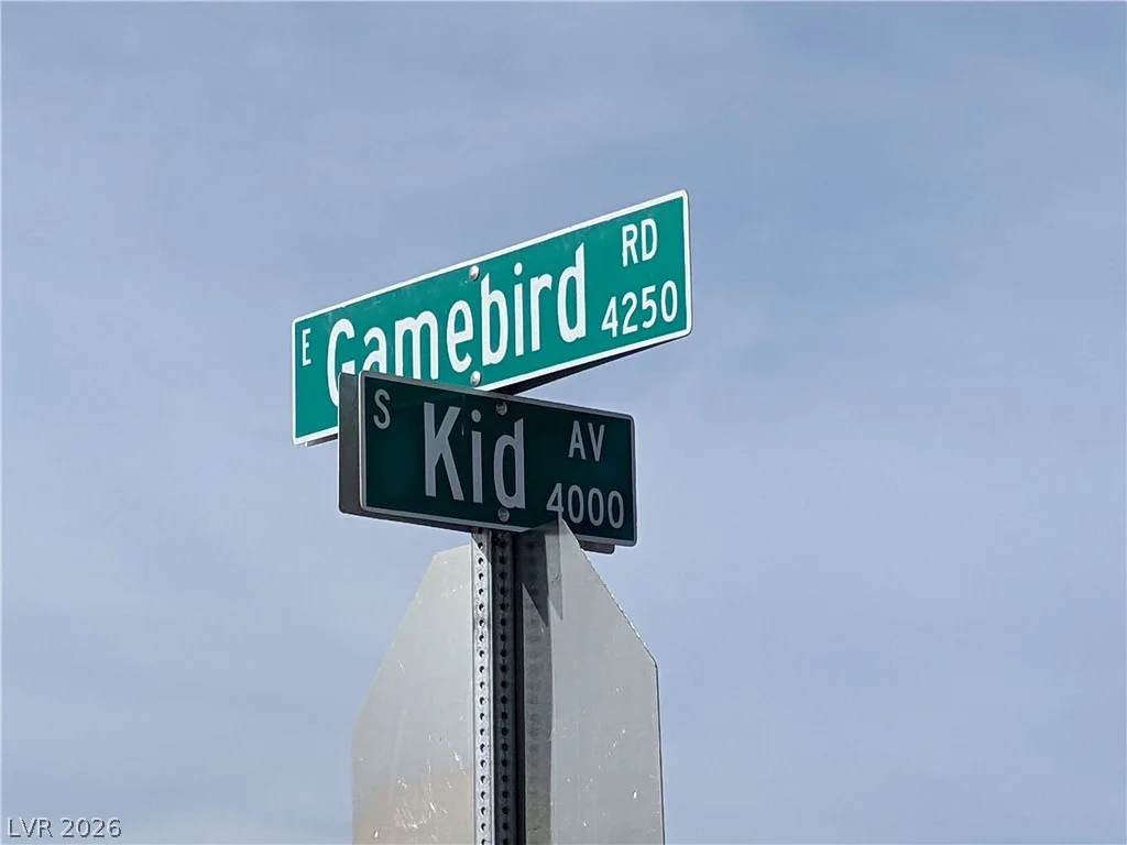 3950 Kid, Pahrump, NV 89048