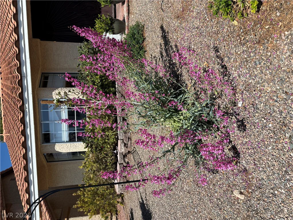3149 Mediterranean, Las Vegas, NV 89117