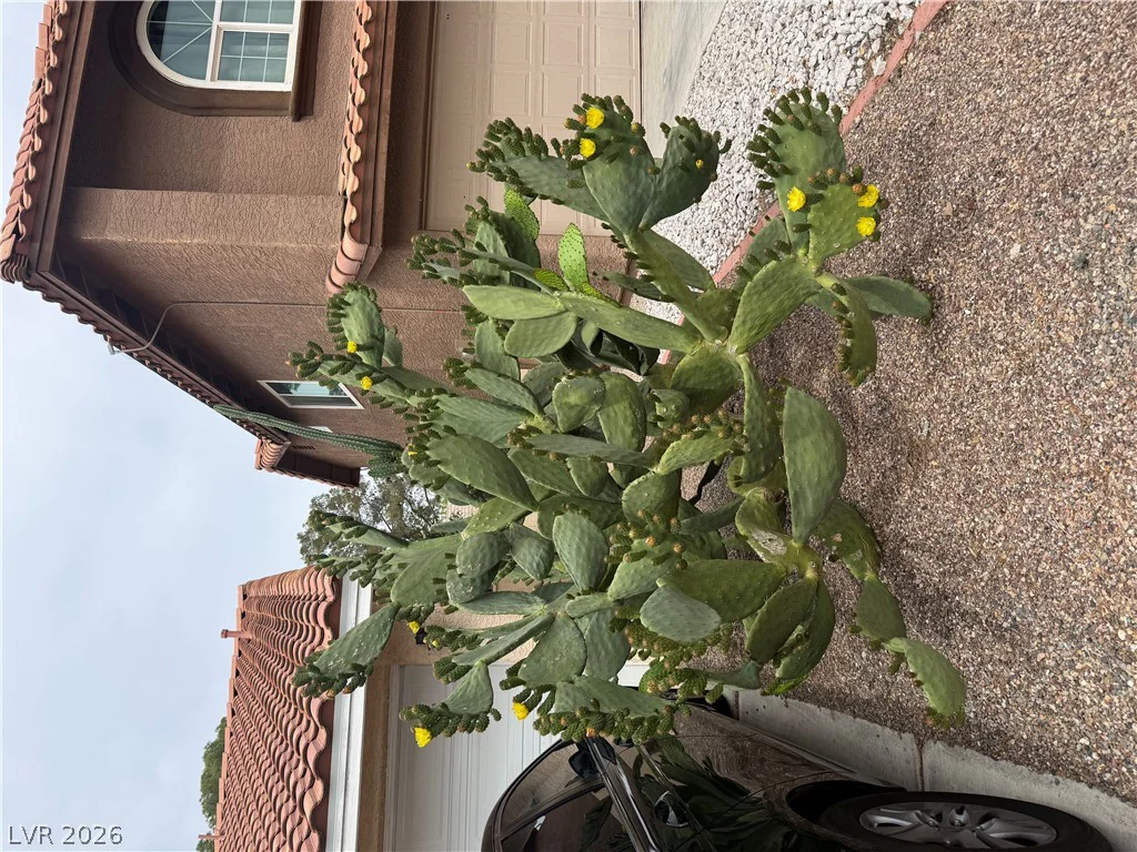 3149 Mediterranean, Las Vegas, NV 89117