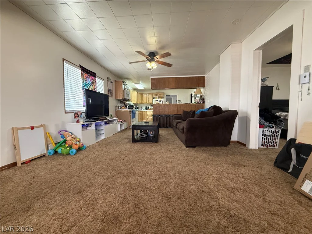 20 Avenue H, McGill, NV 89318