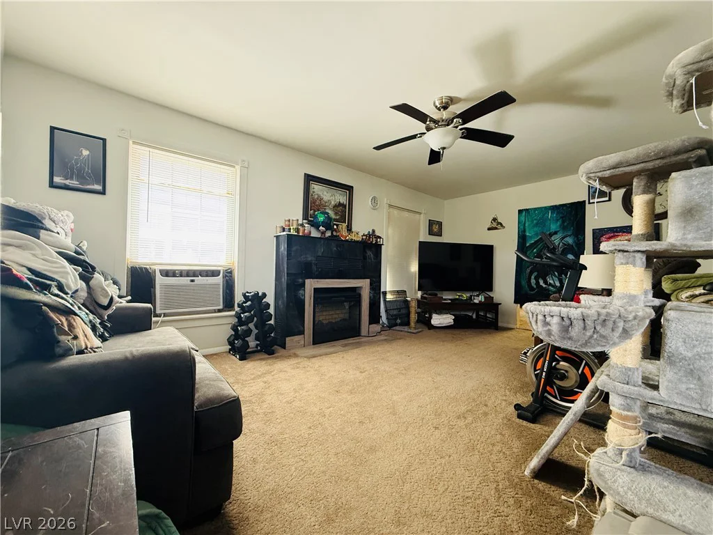 925 Pine Street, Ely, NV 89301