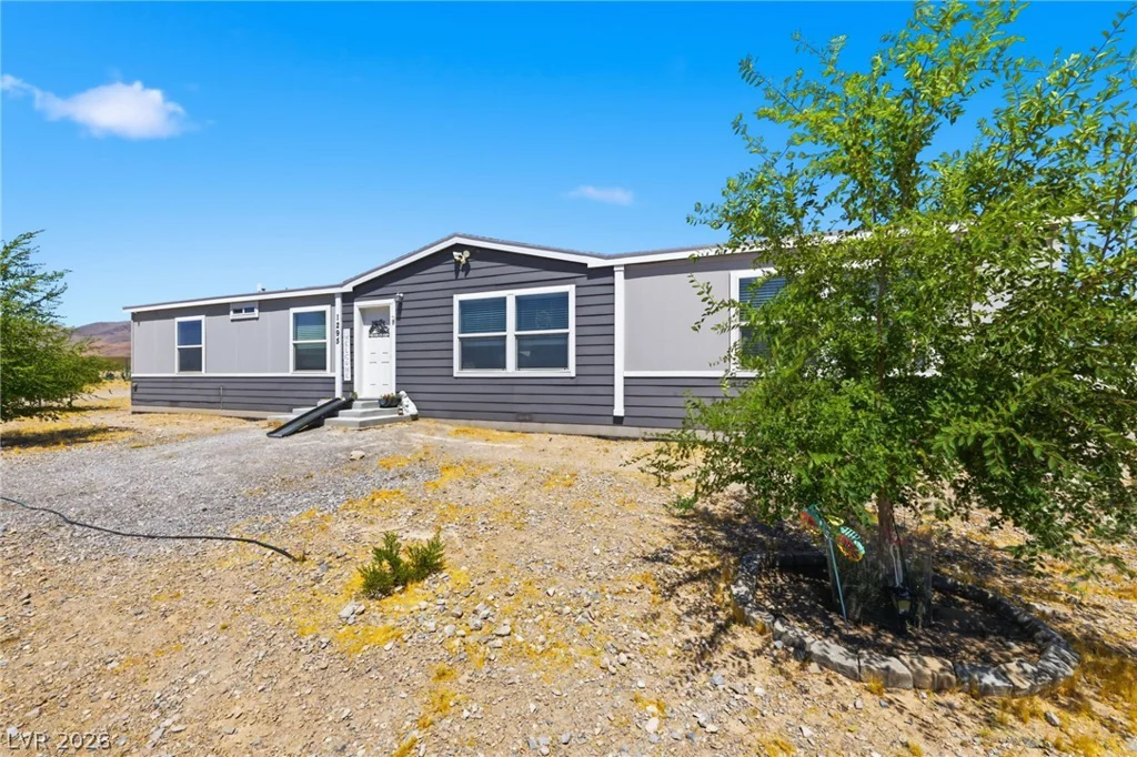 1295 Nickel Ave, Sandy Valley, NV 89019