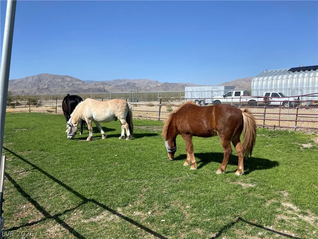 1295 Nickel Ave, Sandy Valley, NV 89019