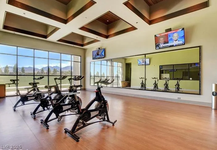 10220 MEANDERING DELL, Las Vegas, NV 89166