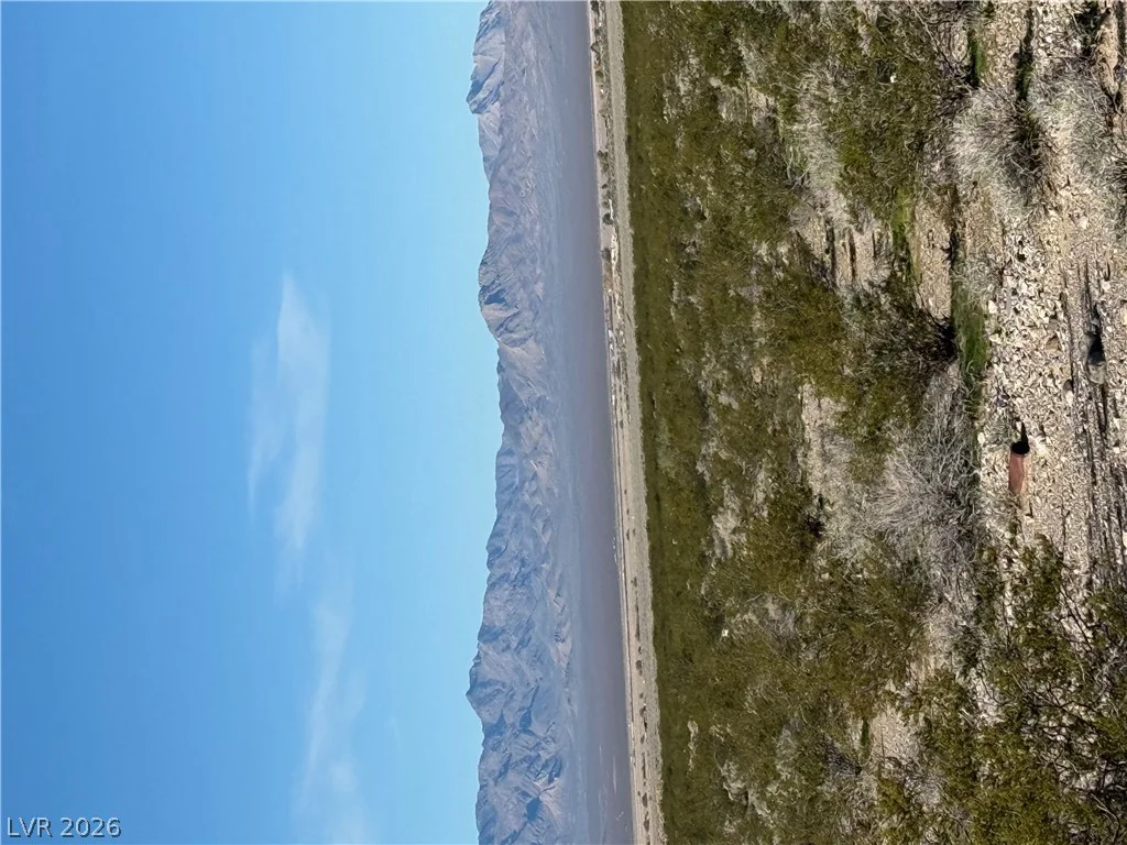 unassigned, Sandy Valley, NV 89019