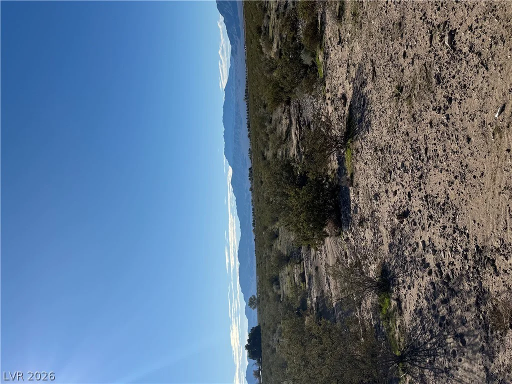 unassigned, Sandy Valley, NV 89019