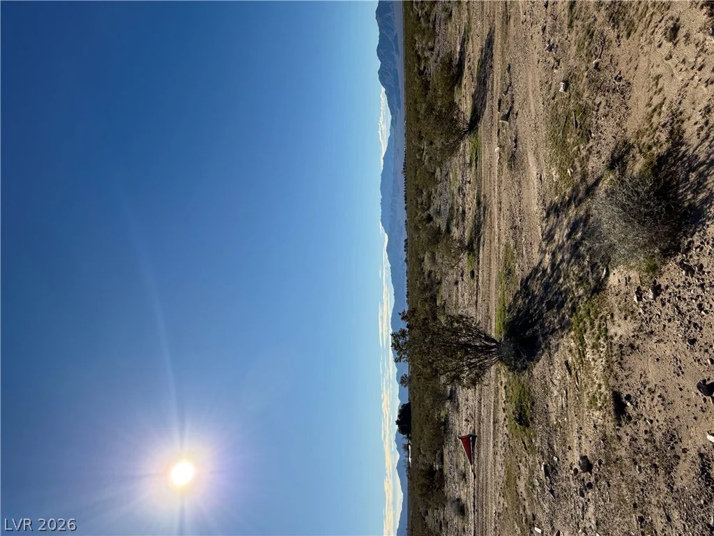 unassigned, Sandy Valley, NV 89019