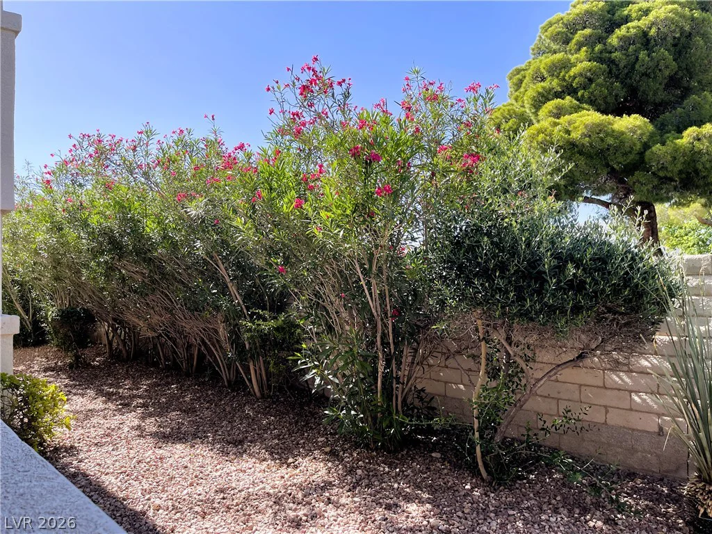 6820 San Ricardo, Las Vegas, NV 89146