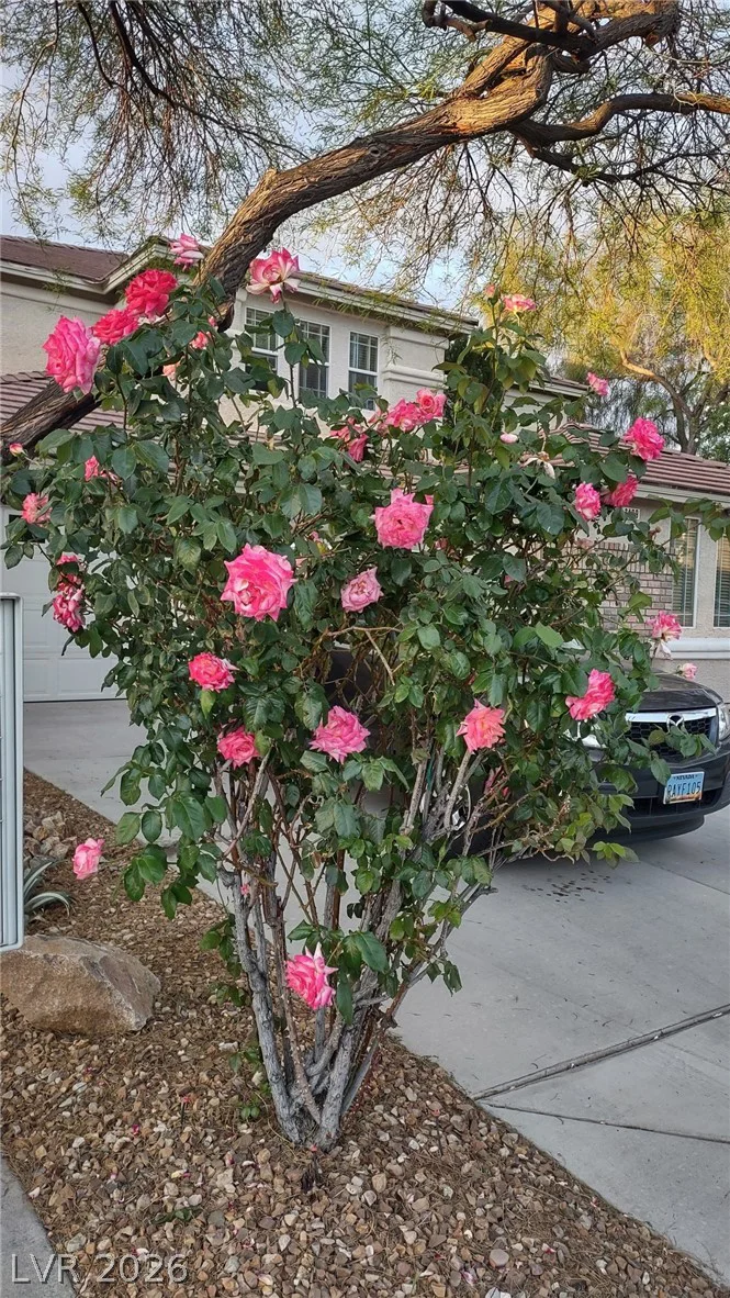 1409 Minuet, Henderson, NV 89052