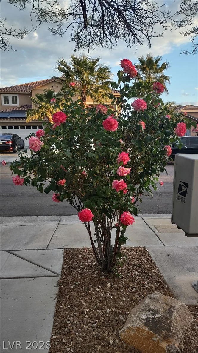 1409 Minuet, Henderson, NV 89052
